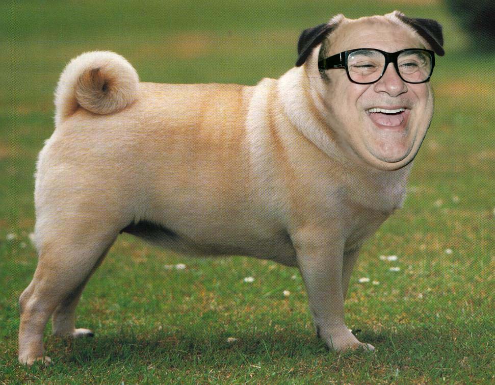 puggy devito