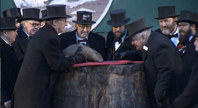 Punxsutawney Phil